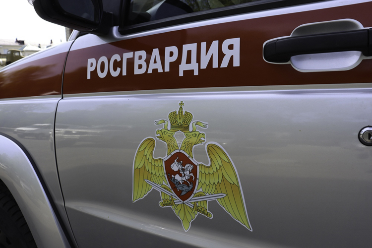 В БИРОБИДЖАНЕ АГРЕССИВНОЕ ВОЖДЕНИЕ ПРЕСЕЧЕНО ПАТРУЛЕМ  ВНЕВЕДОМСТВЕННОЙ ОХРАНЫ