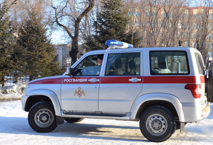 РОСГВАРДЕЙЦЫ ЗАДЕРЖАЛИ БУЙНОГО ХУЛИГАНА В БИРОБИДЖАНЕ