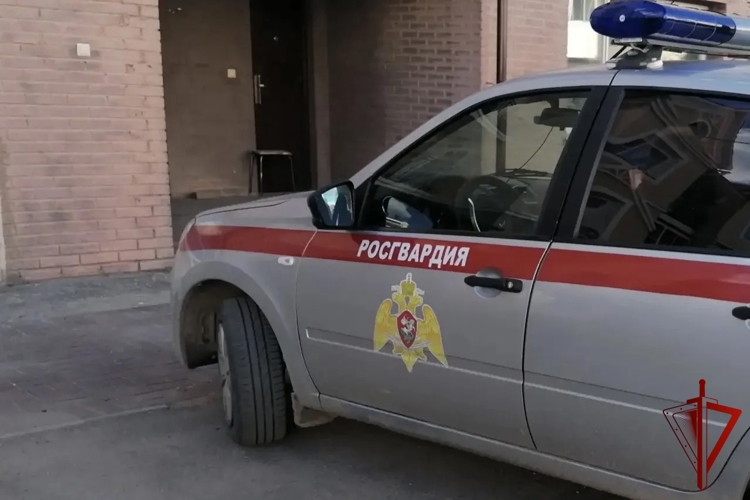 РОСГВАРДЕЙЦЫ ЗАДЕРЖАЛИ ПОДОЗРЕВАЕМОГО В ХРАНЕНИИ НАРКОТИЧЕСКИХ ВЕЩЕСТВ В ЕАО